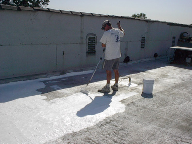 Roof Coating Metal Roof Cleaner Primer Waterproof Top Coat